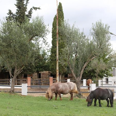 Masia Can Rovira - Esc1852 San Lorenzo de Hortóns Buitenkant foto