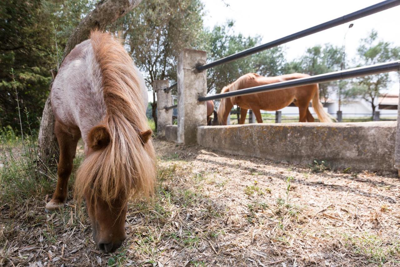 Masia Can Rovira - Esc1852 San Lorenzo de Hortóns Buitenkant foto