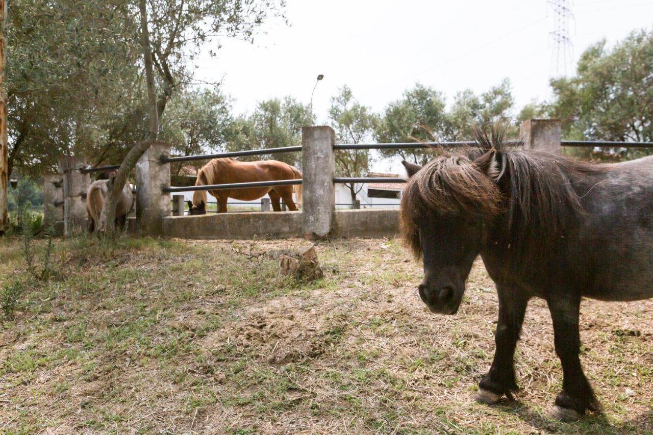 Masia Can Rovira - Esc1852 San Lorenzo de Hortóns Buitenkant foto