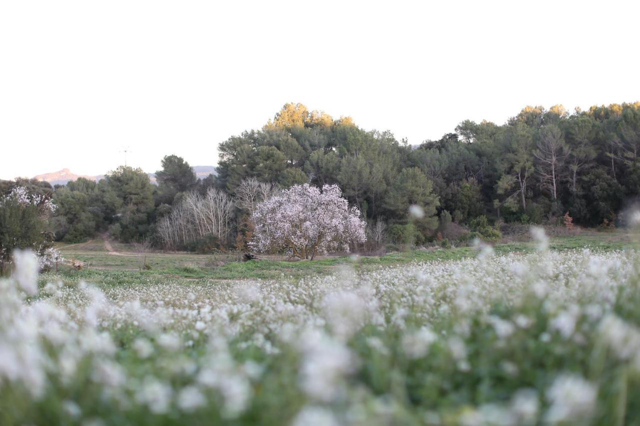 Masia Can Rovira - Esc1852 San Lorenzo de Hortóns Buitenkant foto